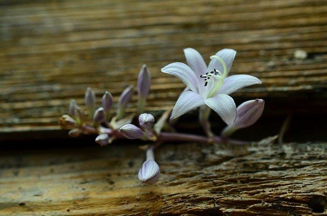 #WednesdayVerses : In Between - The Write World