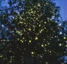 #WhatTheBlack - 5 Black Things I Desire!