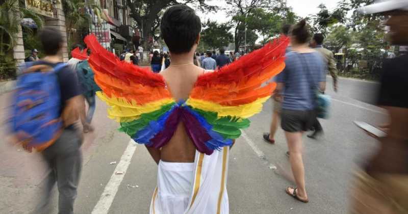  When Butterflies Spread Their Wings