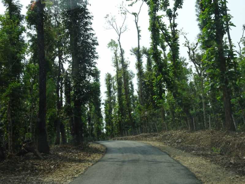 #WhyDrive - Hire Car To Go On A Savaari