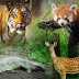 भारत में वन्य जीवन Wildlife In India