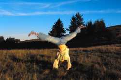  Women Spreading Legs &raquo; Women Spreading Legs 