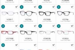 “words, like glasses, obscure everything which they do not make clear.”