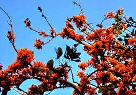  Yet Another Love Story