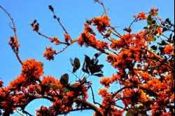  Yet Another Love Story