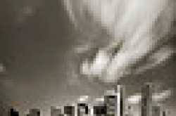 ...and the bird Phoenix cometh.