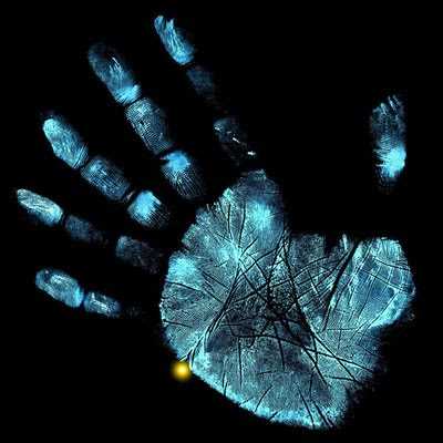 <b><i>The Scientist (I)</b></i>