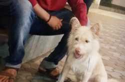 <center><h2><u>Now gold mornings instead of cold good mornings with Colgate 360 Charcoal Gold</u></center></h2>