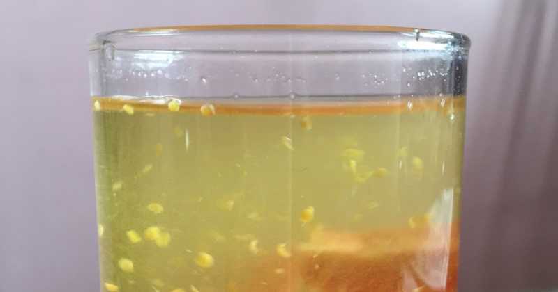 गाजर का पानी ( Fermented Drink Of Carrots)