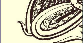 à¤à¤à¤à¥à¥  (pebble)