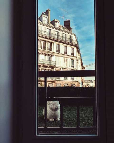 #rabbit #art #paris
