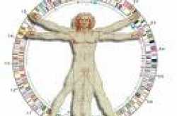 <strong>‘genes-the little genii at work’ </strong> published in “bioquest”, kerala university publication