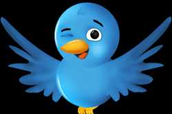 टेम्पलेट में बदलाव किये बगैर   twitter- उडती हुई चिड़िया  का \"फालो मी\" बटन लगाये