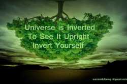 1 Understanding That Will Transform Your Life Forever