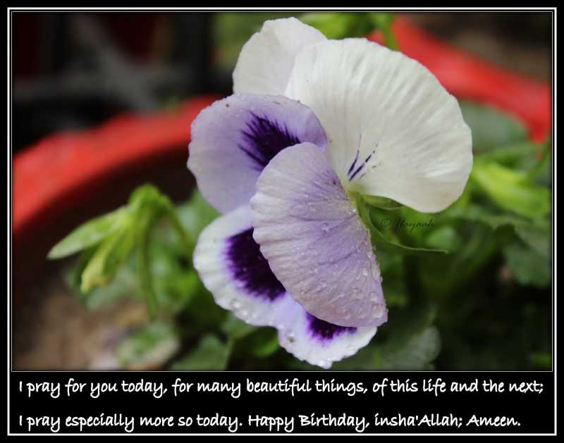 1 Month & 16 Days Before Me