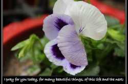 1 month & 16 days before me