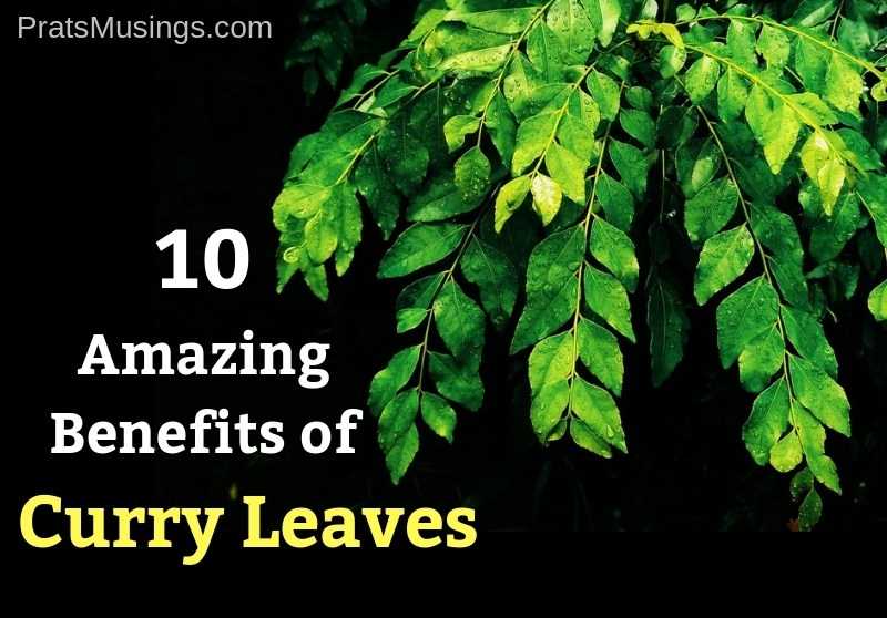 10 Amazing Benefits Of Curry Leaves