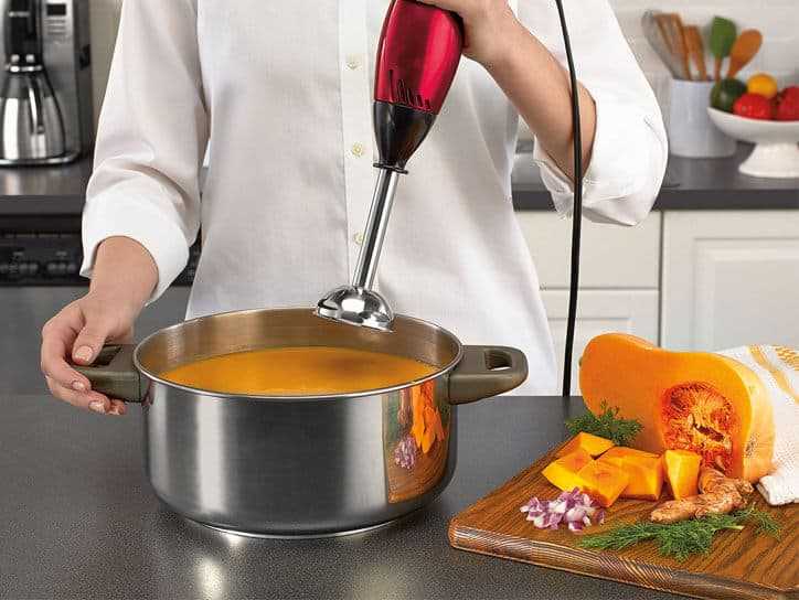 10 Best Hand Blender In India (2019) - Reviews & Buying Guide