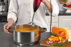 10 Best Hand Blender in India (2019) - Reviews & Buying Guide