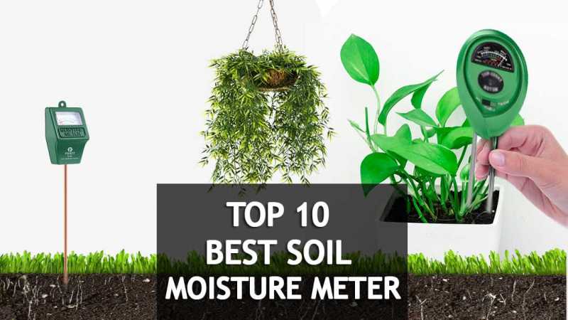10 Best Soil Moisture Meters For Plants 2018 Reviews & Buyer