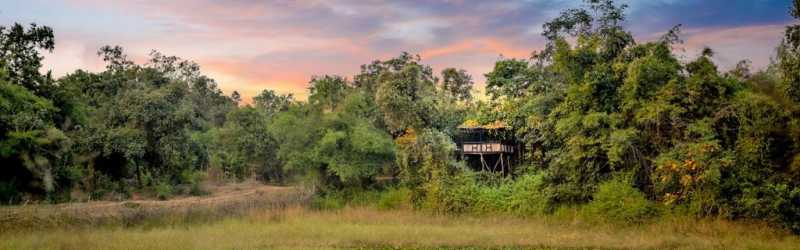10 Best Wildlife Resorts In India | Trawell Blog