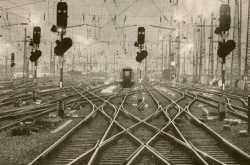 10 Choices You will not Regret.