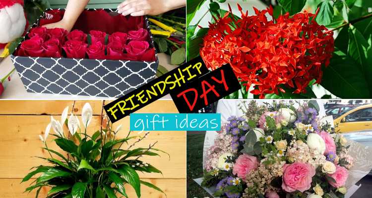 10 Flowering Plants - The Best Friendship Day Gifts - FlashyDubai.com
