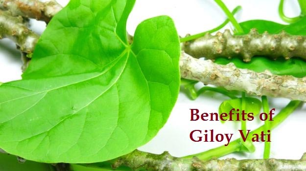10 Key Health Benefits Of Giloy Vati You Should Know