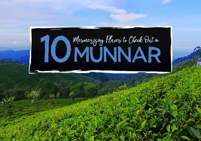 10 Mesmerizing Places To Check Out In Munnar - Paradise Holidays, Cochin