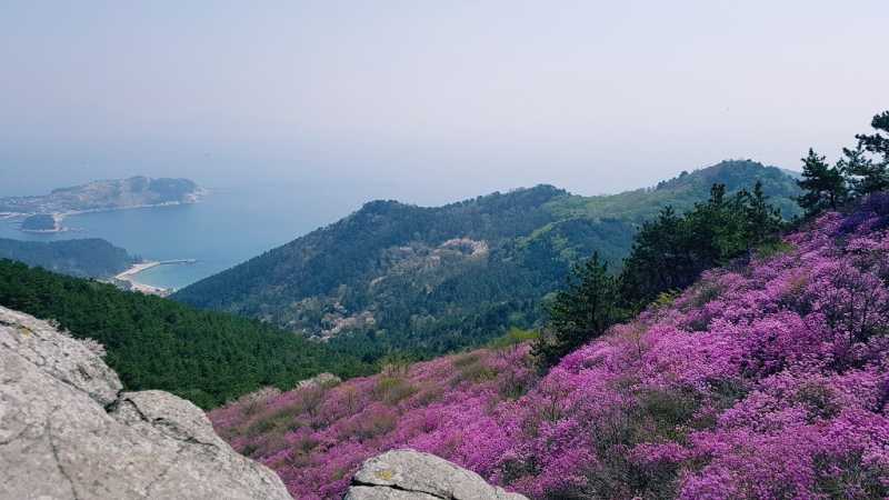 10 Most Beautiful Mountains In Geoje - Sweet Sharing