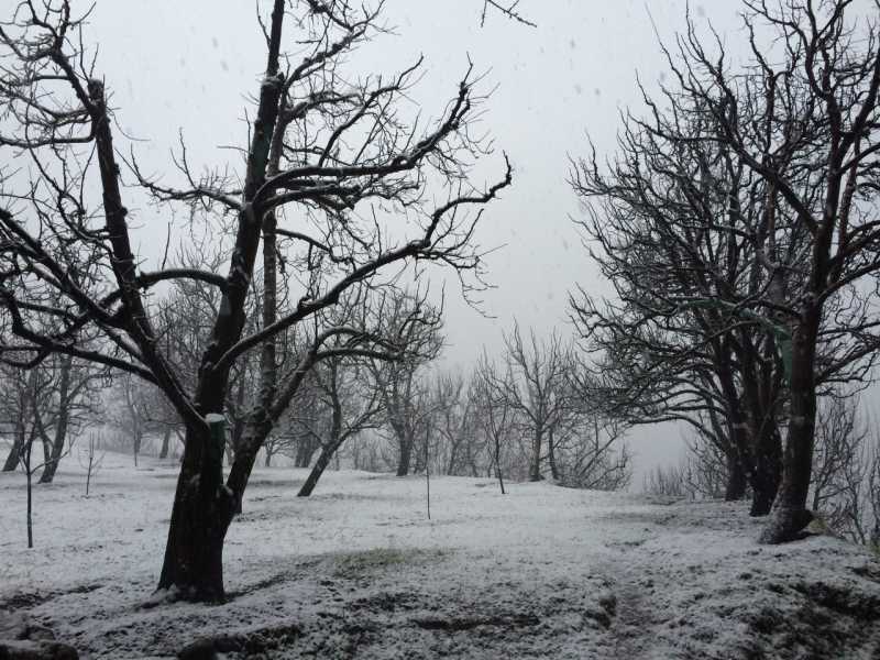 10 Reasons To Welcome New Year In Manali