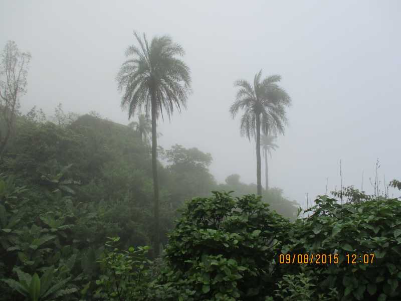 10 Must Do Treks In And Around Pune This Monsoon: Part-I - Sahyadri Forts Trekking Information