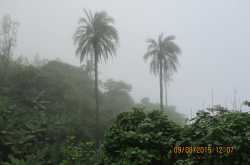 10 must do treks in and around Pune this monsoon: Part-I - Sahyadri Forts Trekking Information