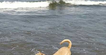 10 Must-have Songs On A Playlist For Broken, Or Repairing Hearts