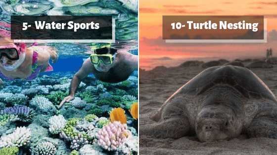 10 Reasons Why Andaman Island Is The Perfect Holiday Destination This Season