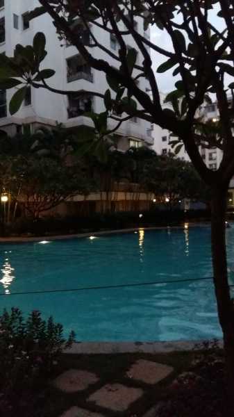 100 Days Of Happiness - Day 4 