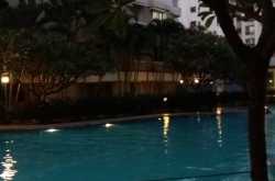 100 Days of Happiness - Day 4 