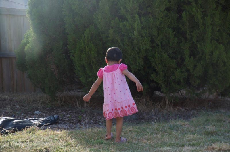 100 Happy Days – Day #16