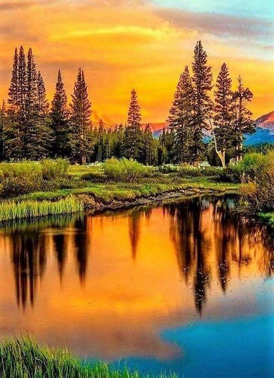 100+ Beautiful Nature Images Wallpaper For Mobile Photos Pic