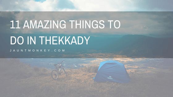 11 Amazing Things To Do In Thekkady | Plan Your Thekkady Sightseeing Tour