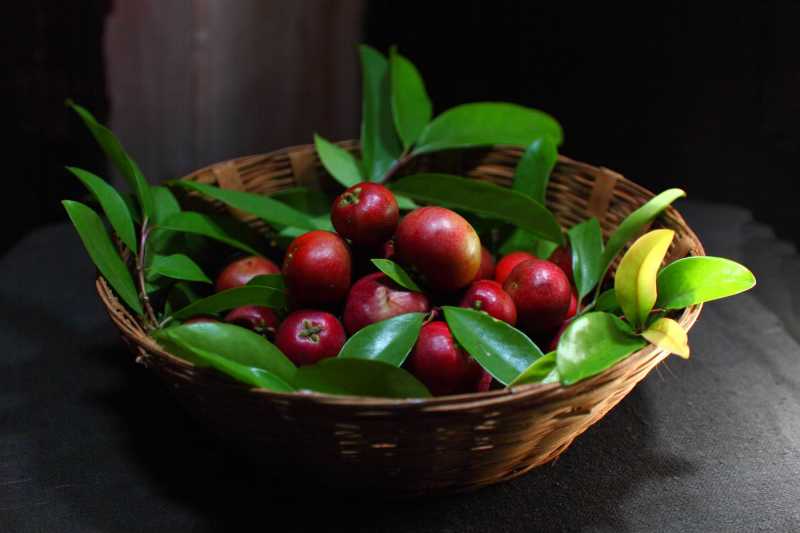 11 Health Benefits & Side Effects Of Kokum (Garcinia Indica)