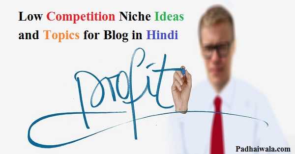 11+Low+competition+niche+ideas+topic+for+blog+in+hindi