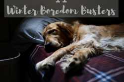 11 Winter Boredom Busters | Kohl Eyed Me