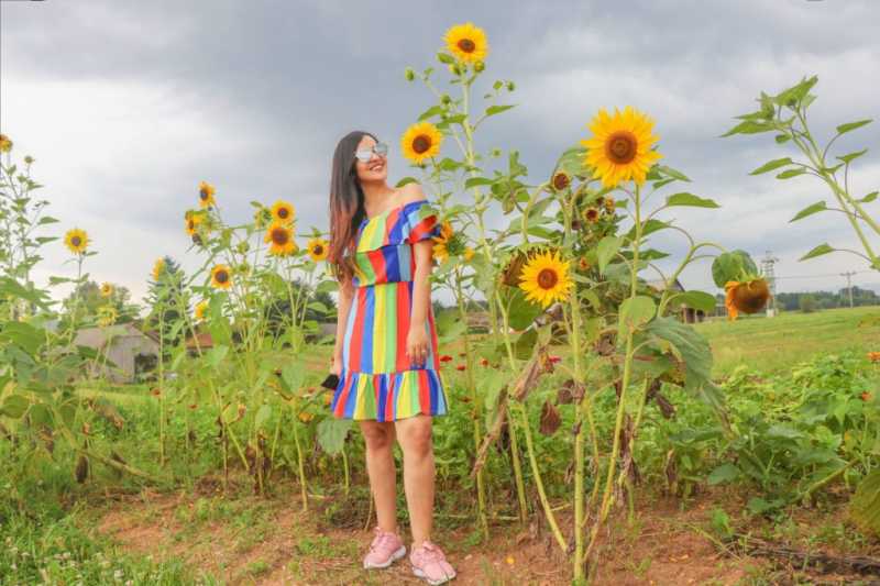 11 Things To Do In Bela Krajina Slovenia - Offbeat Slovenia