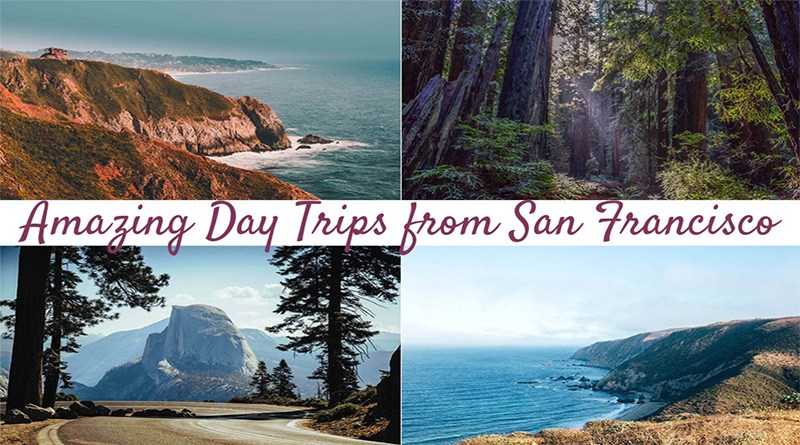 12 Amazing Day Trips From San Francisco, California