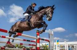 12 Best Blogging Platforms Compared - Unbiased Review