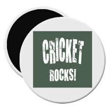 12 Emotions That Only A Cricket Fan Can Feel