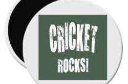 12 Emotions That Only A Cricket Fan Can Feel