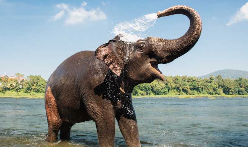 12 Places To Visit With Kids In Kochi - Parenting Blog In India