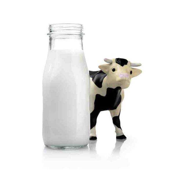 12 Reasons For Not Giving Cow’s Milk Before 1yr Of Infant .